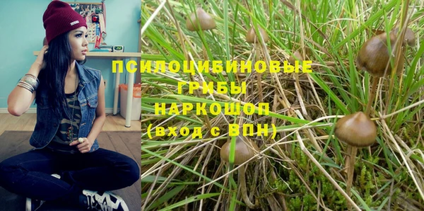 прущая мука Михайлов