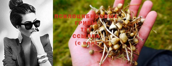 прущая мука Михайлов